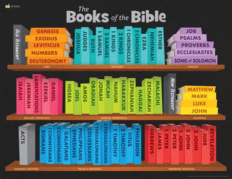 Books of the Bible to Read and the Insights to Gain