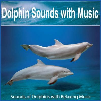 Why Isn't Apple Music Working: Is It Because Dolphins Prefer Spotify?